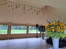 Afbeelding in Gallery-weergave laden, thema zonnebloemen