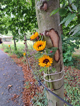 Afbeelding in Gallery-weergave laden, thema zonnebloemen