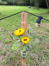 Afbeelding in Gallery-weergave laden, thema zonnebloemen