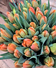 Afbeelding in Gallery-weergave laden, Tulpen dubbel - oranje
