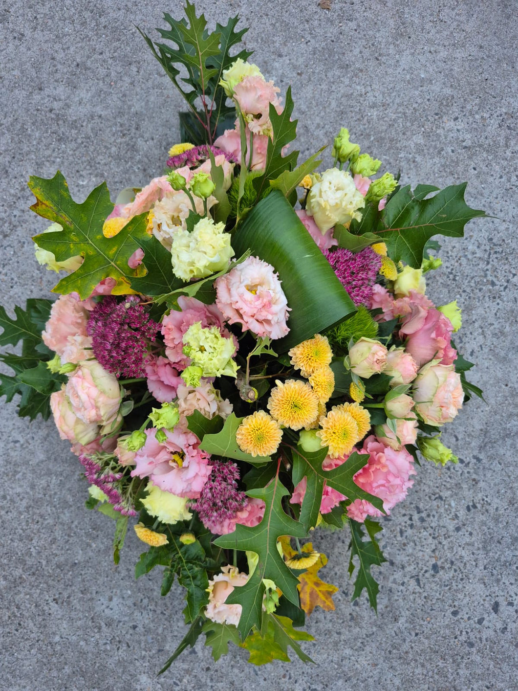 Graftak Lysianthus