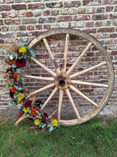 Afbeelding in Gallery-weergave laden, Herfstkleuren
